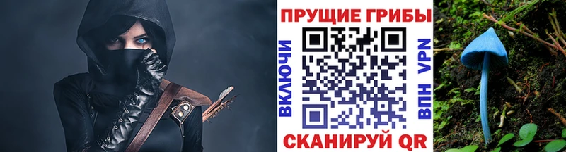 это состав  Смоленск  Галлюциногенные грибы GOLDEN TEACHER  цена наркотик 